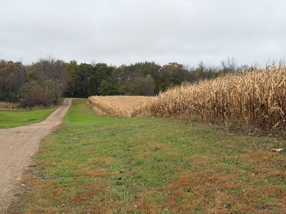 33100 St Olaf Way Battle Lake, MN 56515 - Photo 31 of 33