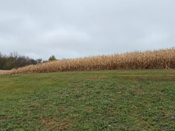 $399,000 | 33100 St Olaf Way, Battle Lake, MN 56515