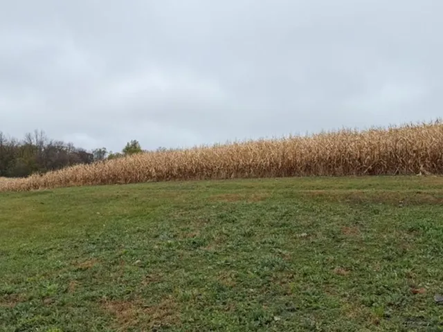 $399,000 | 33100 St Olaf Way, Battle Lake, MN 56515