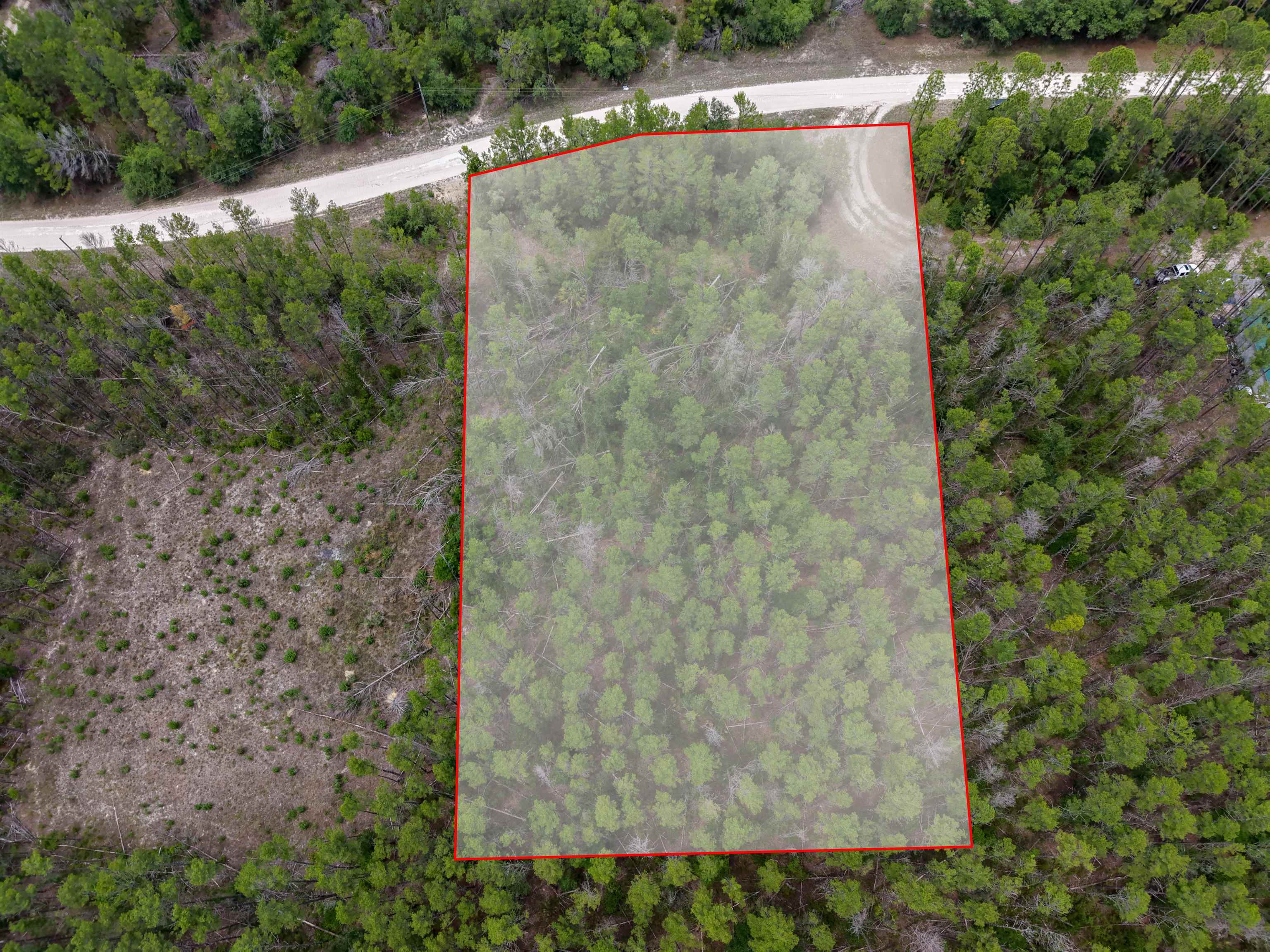 Tbd Ocean Pond Road Perry, FL 32348 - Photo 20 of 21