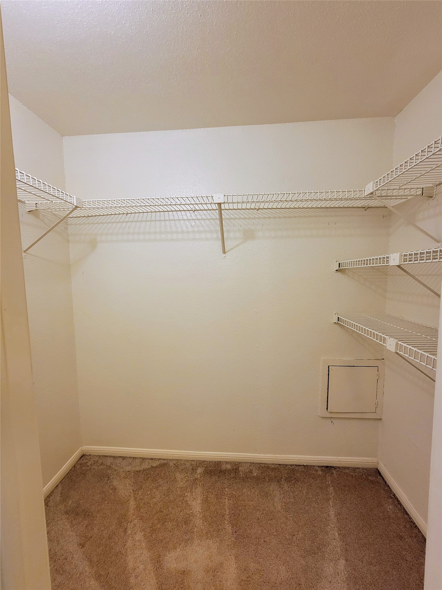 1515 Sandy Springs Road, Unit 1903 Houston, TX 77042 - Photo 15 of 24 Walk in closet, large enough for 2!