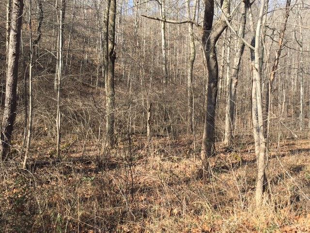 10.44-ac Straight Fork Road Peebles, OH 45660 - Photo 7 of 27