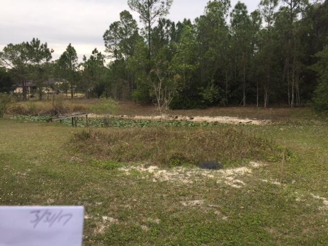 16681 78th Road North Loxahatchee, FL 33470 - Photo 7 of 7 16681 backyard