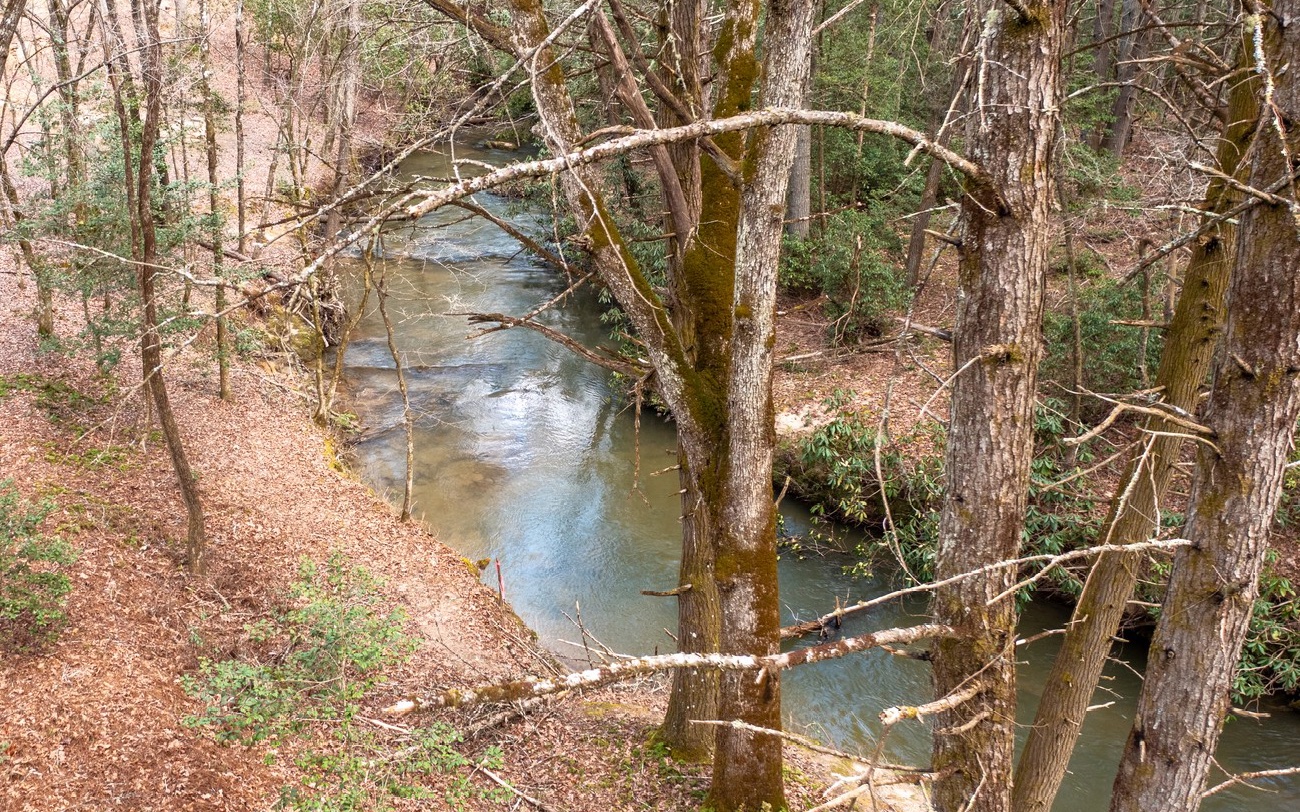 40 My Way Blue Ridge, GA 30513 - Photo 12 of 23 a picture of a tree