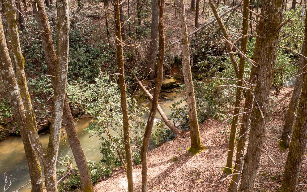 40 My Way Blue Ridge, GA 30513 - Photo 14 of 23 a view of a yard