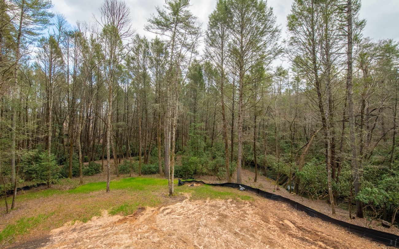 40 My Way Blue Ridge, GA 30513 - Photo 22 of 23 a view of a backyard