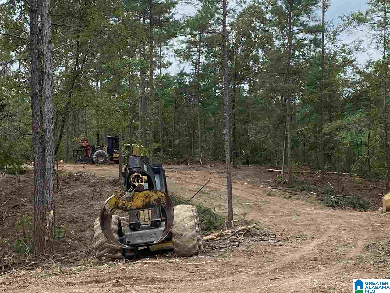 0 County Road 199, Unit 19 / ACRES Clanton, AL 35046 - Photo 14 of 17