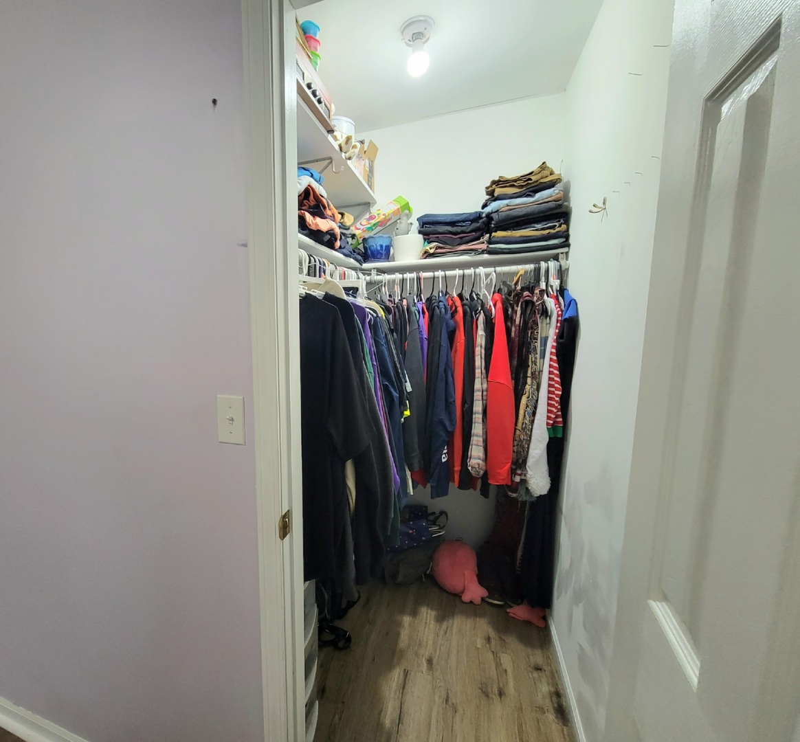 486 West Washington Street St. Anne, IL 60964 - Photo 12 of 14 a view of a walk in closet