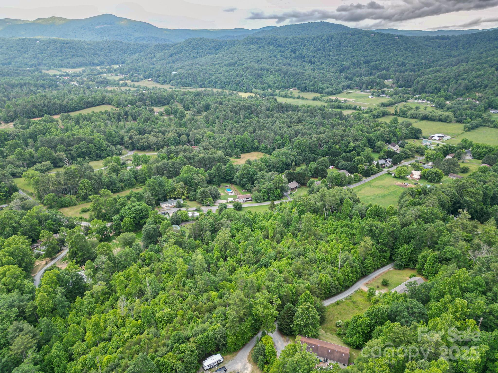 a view of a lush green forest with trees and some houses