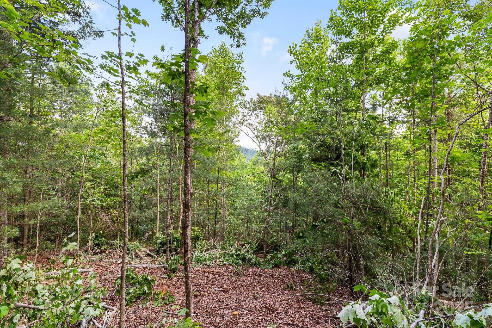Tbd Whitener Road, Unit PARCEL 3 Penrose, NC 28766 - Photo 11 of 18