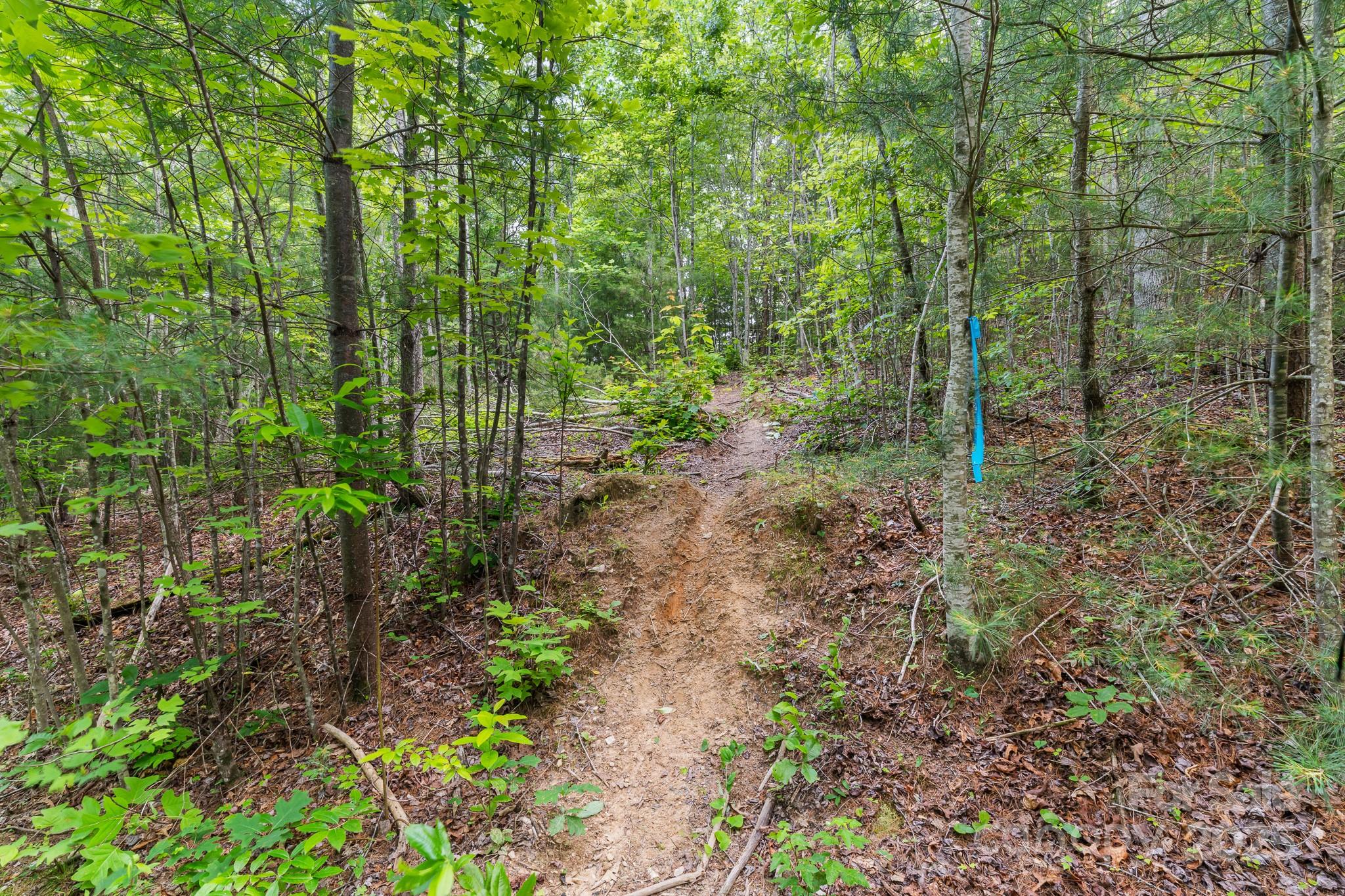 Tbd Whitener Road, Unit PARCEL 3 Penrose, NC 28766 - Photo 14 of 18