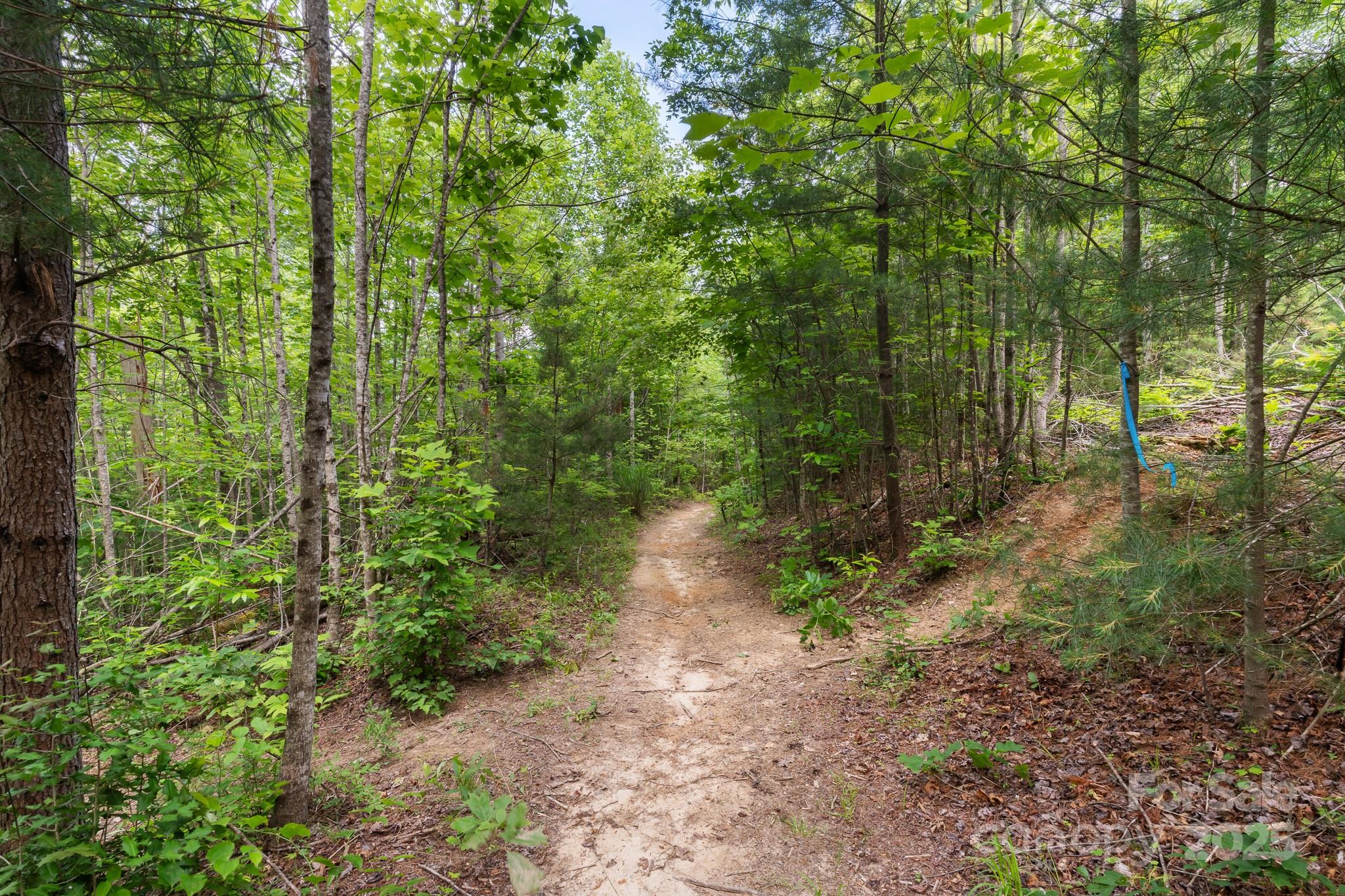Tbd Whitener Road, Unit PARCEL 3 Penrose, NC 28766 - Photo 15 of 18