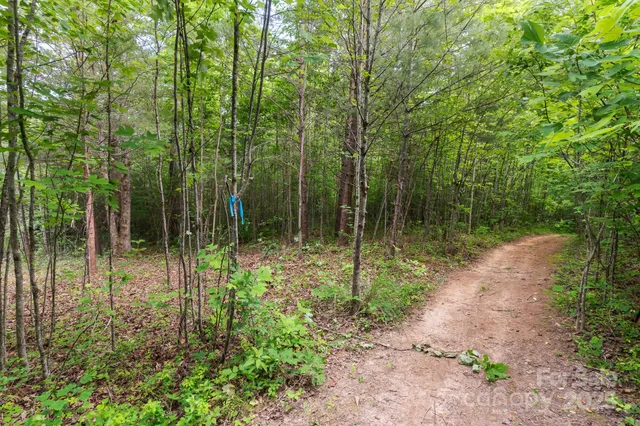 a view of a big yard with lots of green space
