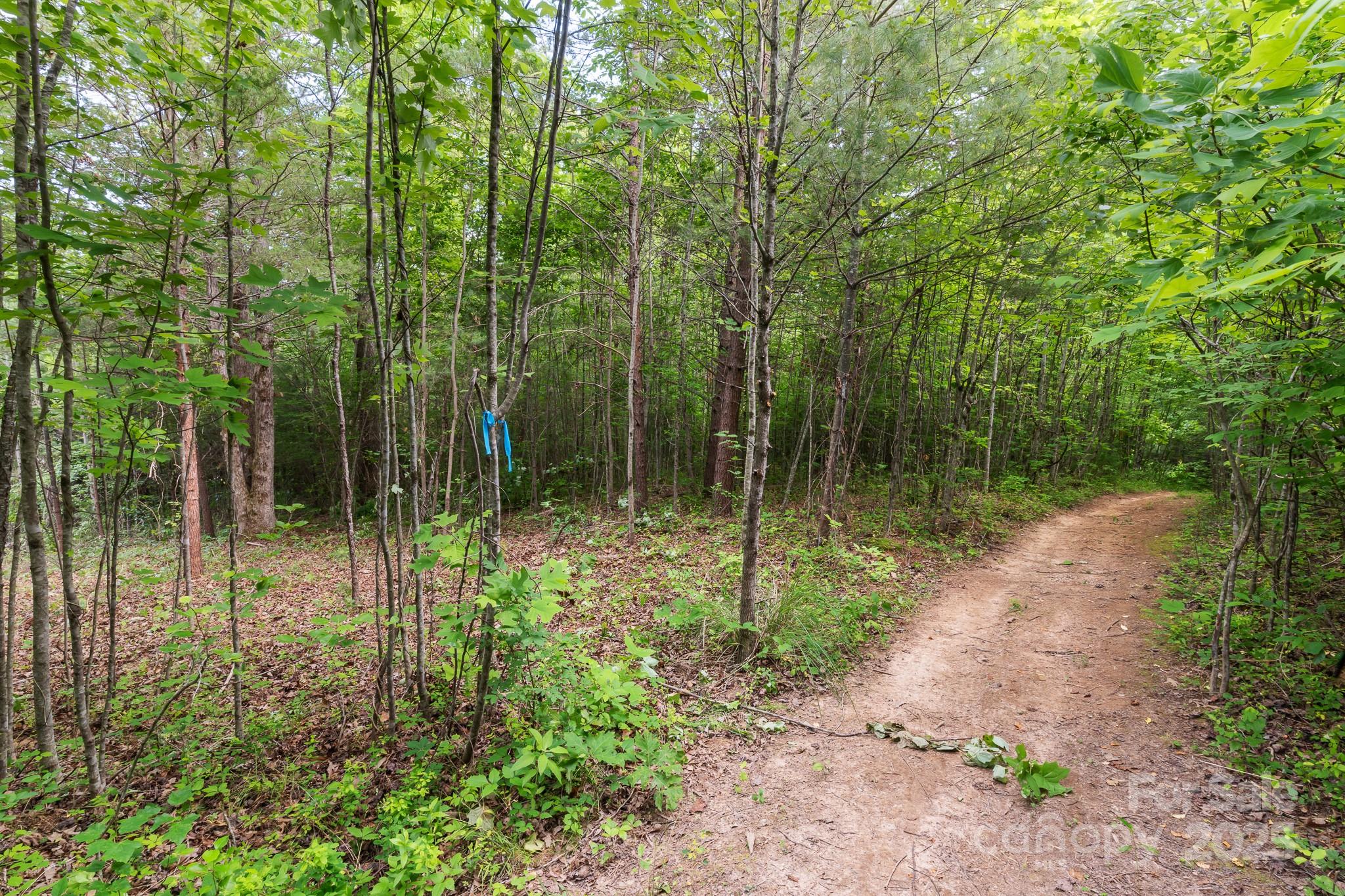 Tbd Whitener Road, Unit PARCEL 3 Penrose, NC 28766 - Photo 16 of 18