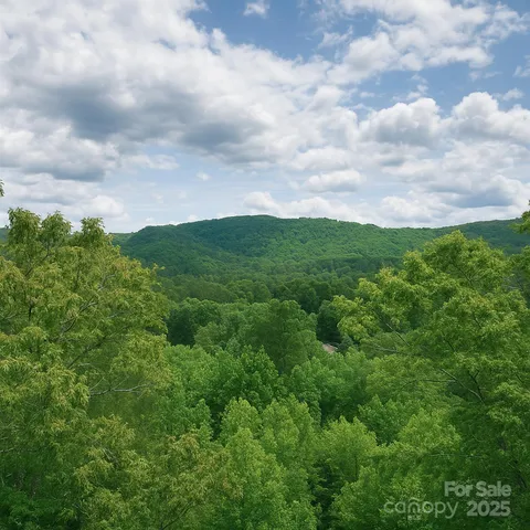 a view of a lush green forest