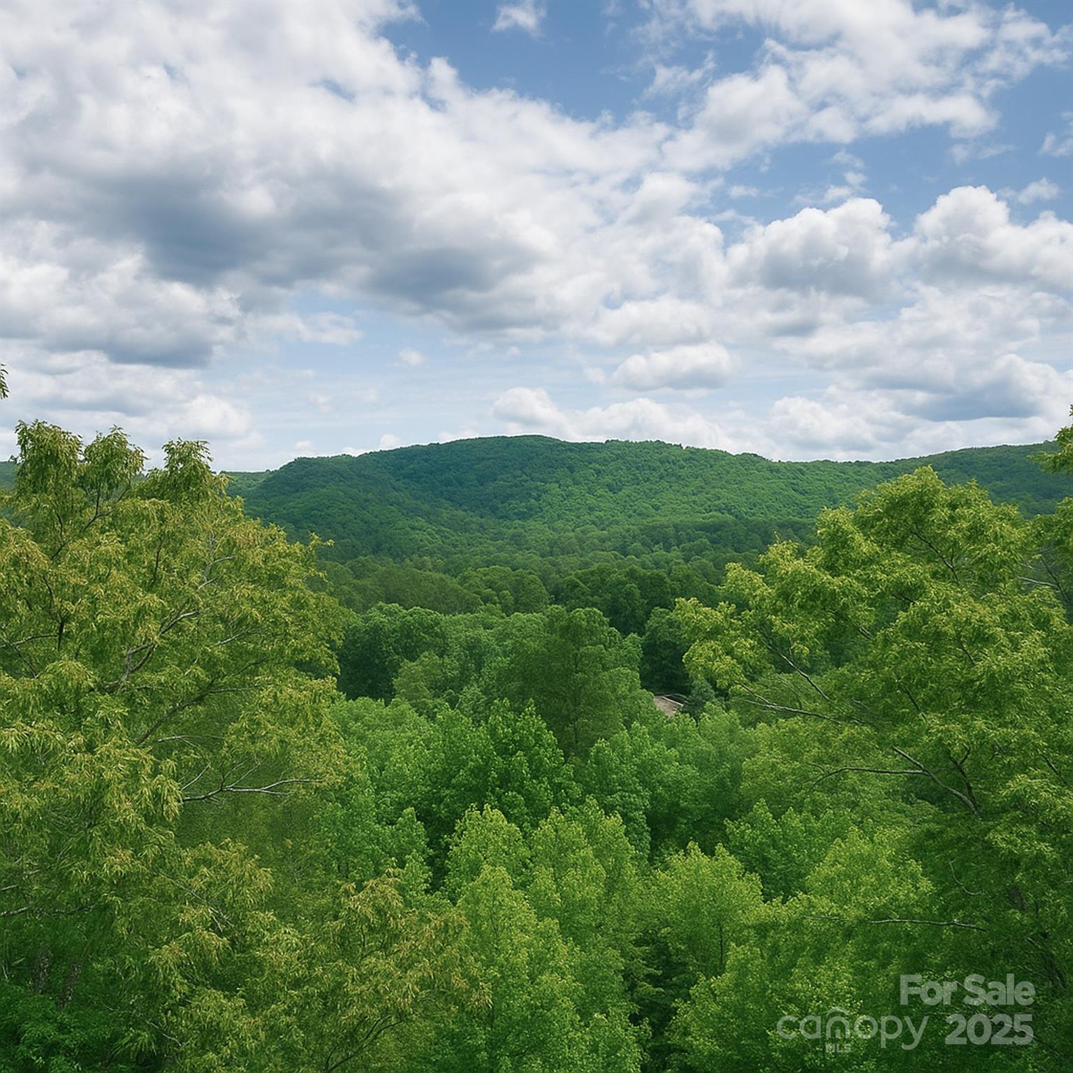 Tbd Whitener Road, Unit PARCEL 3 Penrose, NC 28766 - Photo 17 of 18