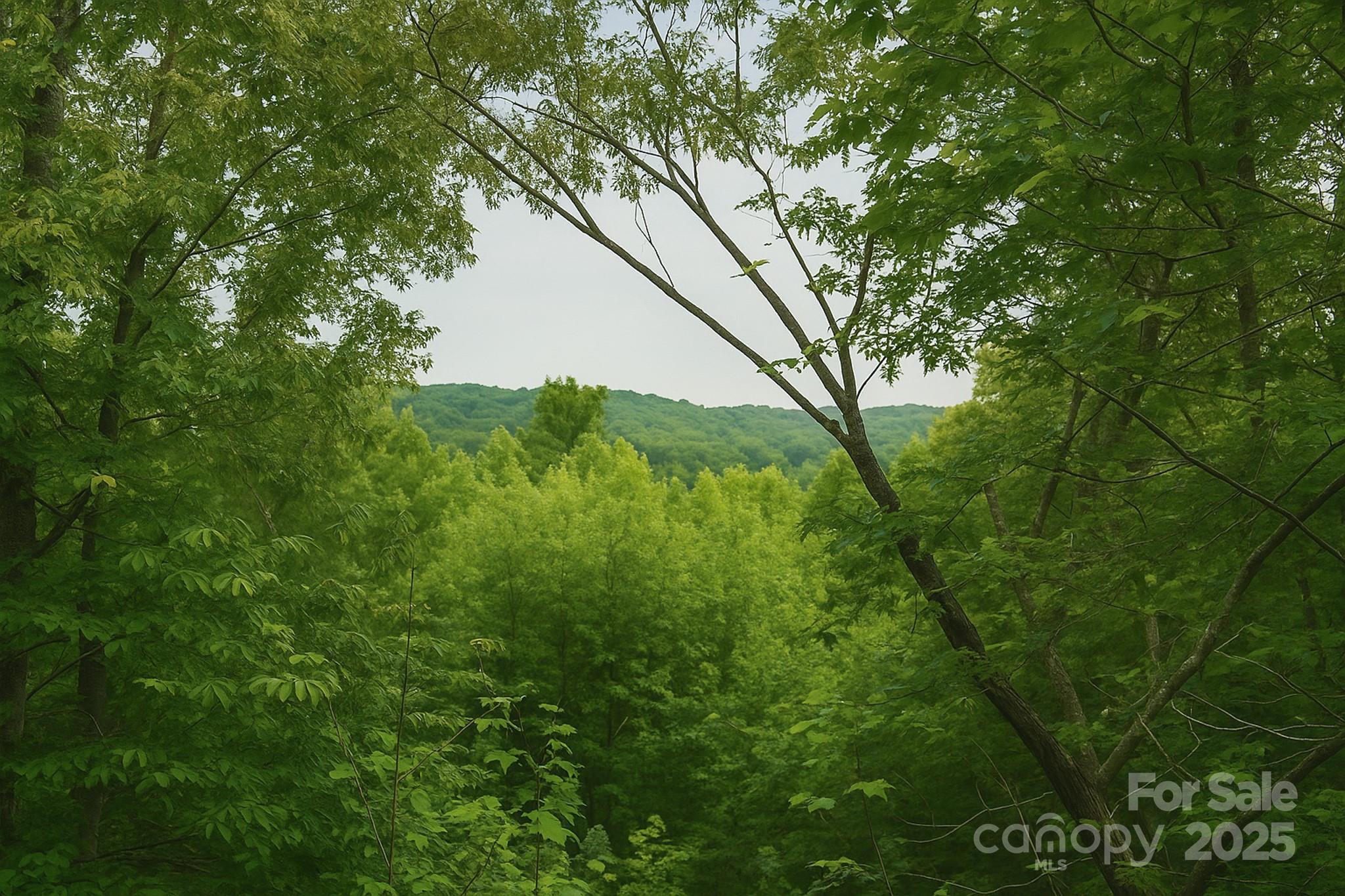 Tbd Whitener Road, Unit PARCEL 3 Penrose, NC 28766 - Photo 18 of 18