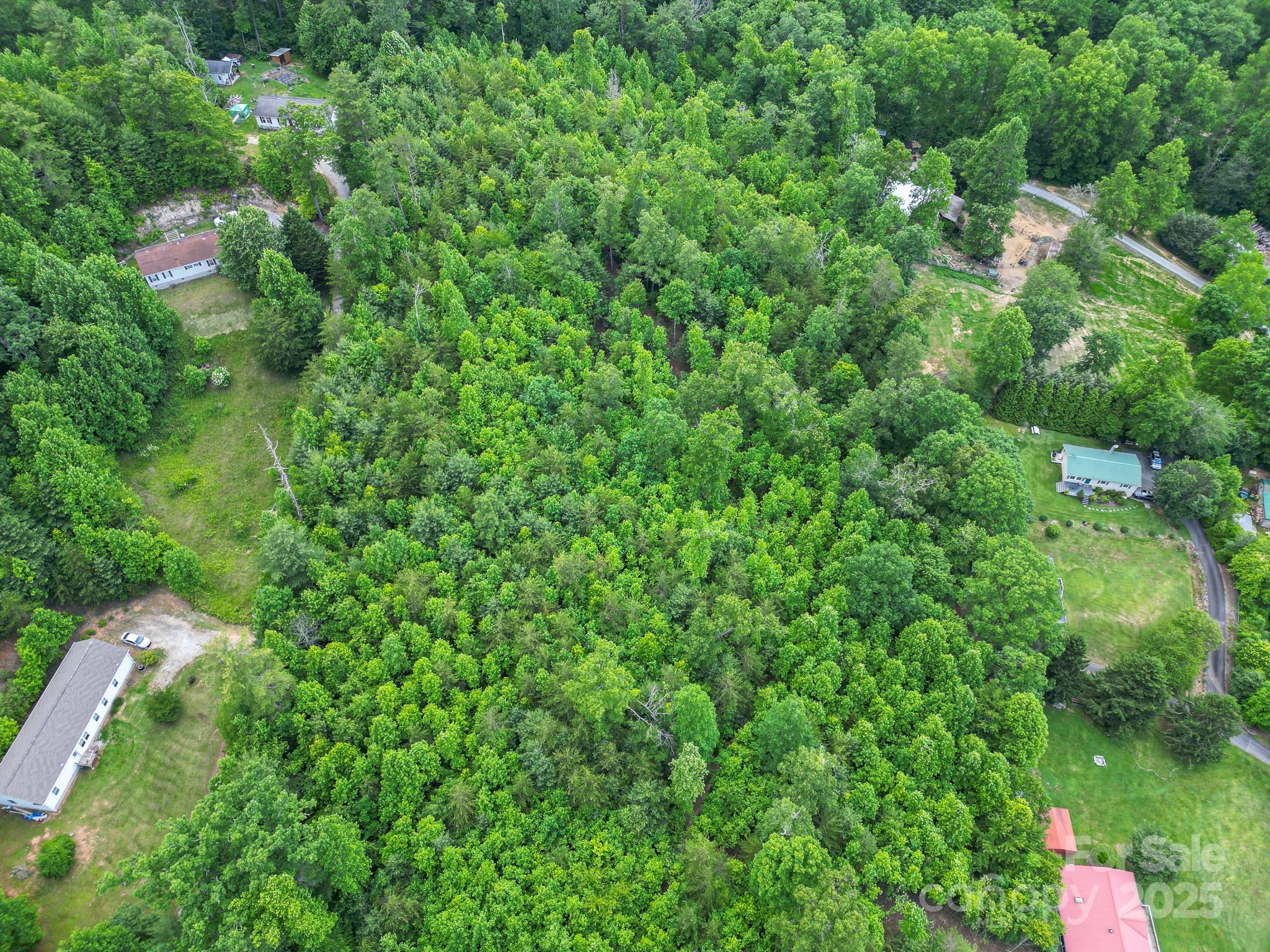Tbd Whitener Road, Unit PARCEL 3 Penrose, NC 28766 - Photo 3 of 18