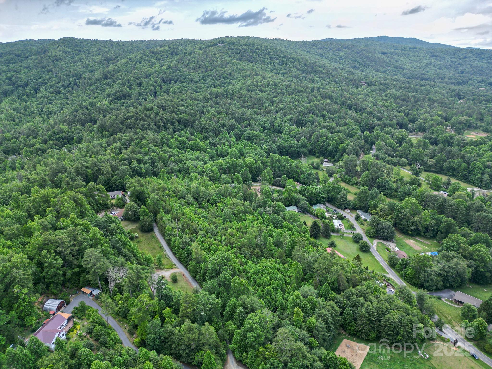 Tbd Whitener Road, Unit PARCEL 3 Penrose, NC 28766 - Photo 6 of 18