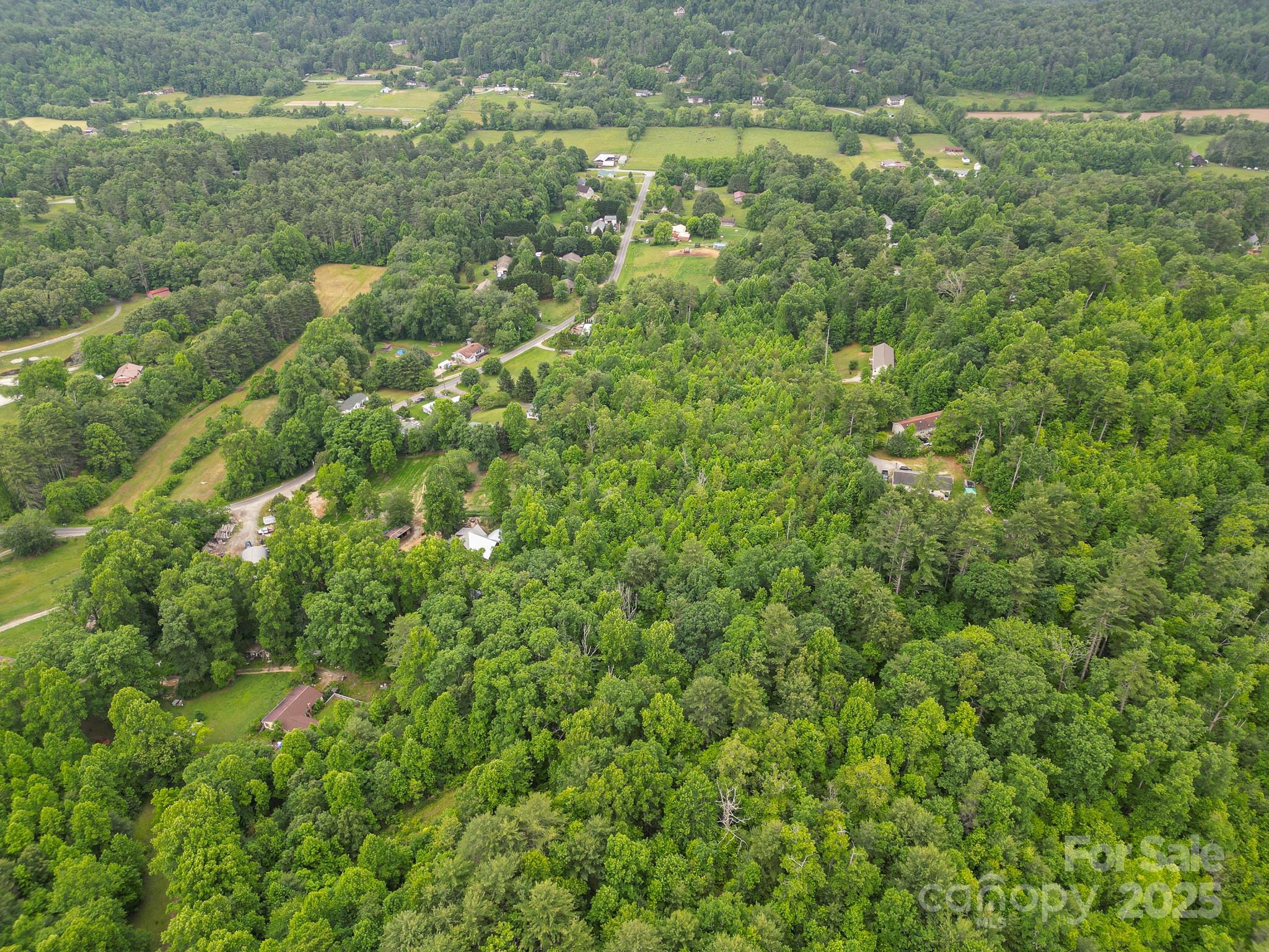Tbd Whitener Road, Unit PARCEL 3 Penrose, NC 28766 - Photo 7 of 18