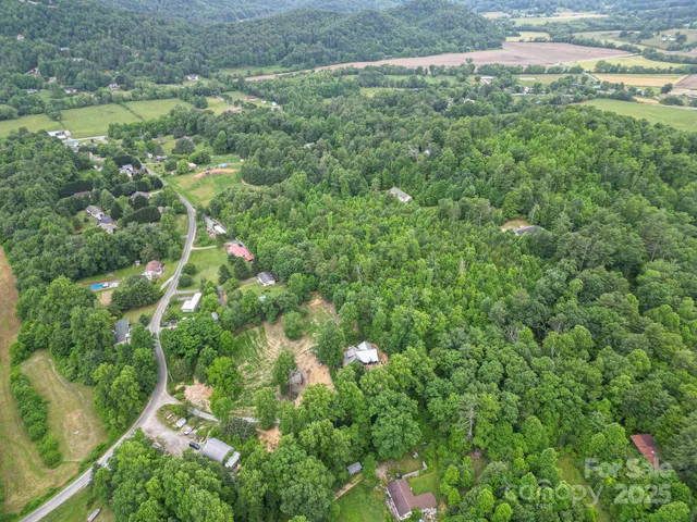a view of a lush green forest with lush green forest