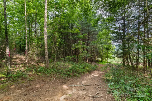 a view of outdoor space and garden