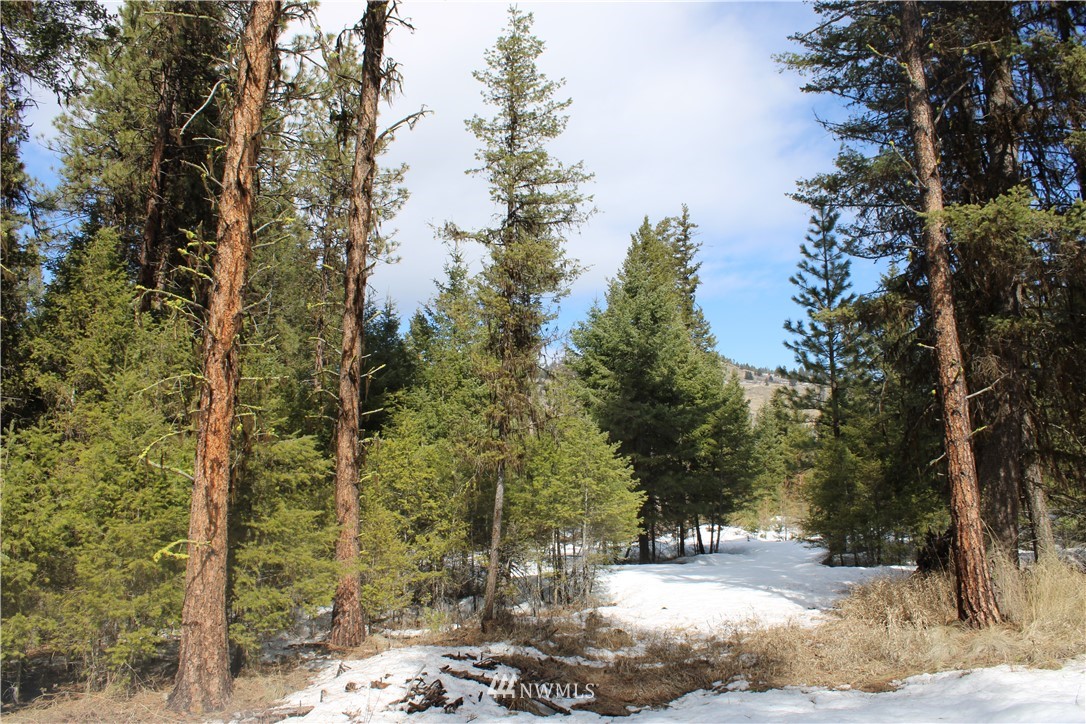 51 Stage Coach Loop Road Oroville, WA 98844 - Photo 1 of 6