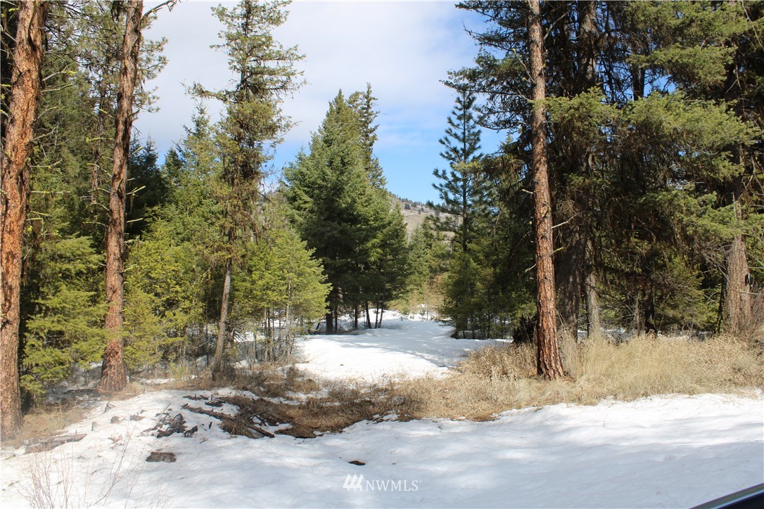 51 Stage Coach Loop Road Oroville, WA 98844 - Photo 4 of 6
