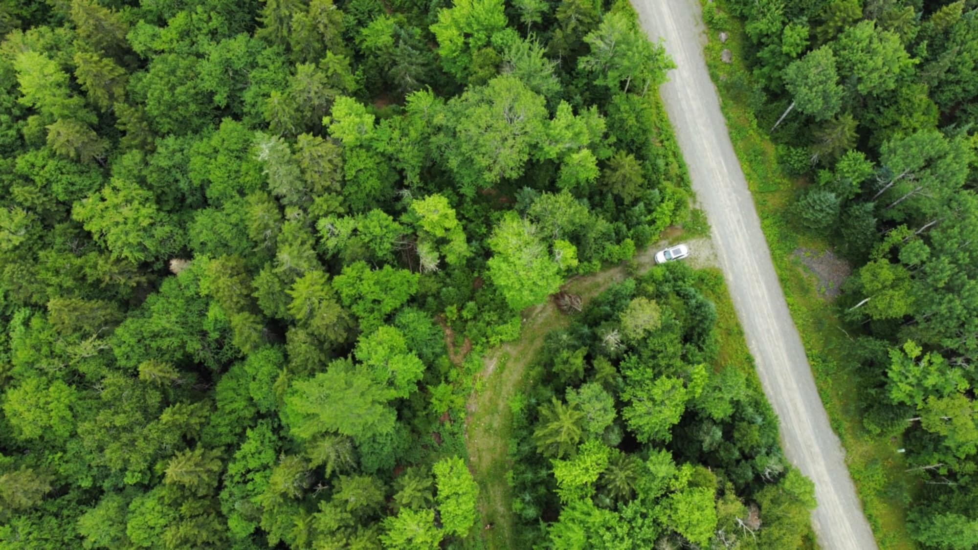 11 Mill Brook Road Sandy River Plt, ME 04970 - Photo 6 of 16 driveway into lot 11-see white car
