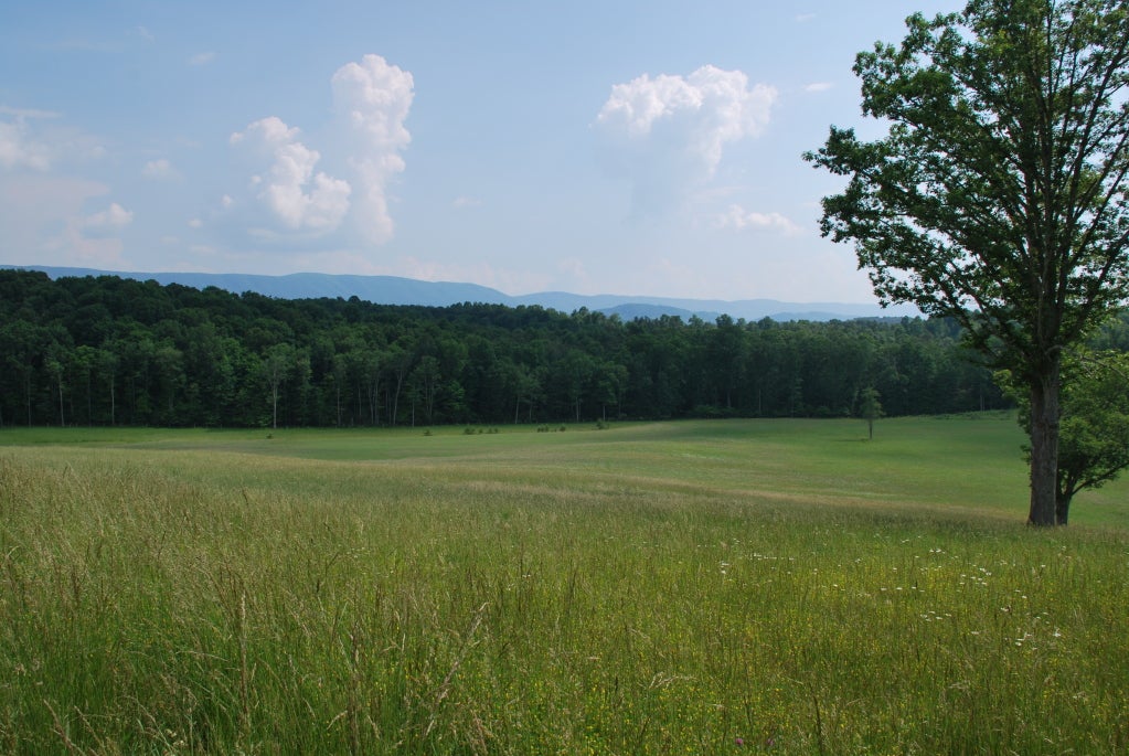 101 Windy Ridge Lane Lindside, WV 24951 - Photo 30 of 30 field