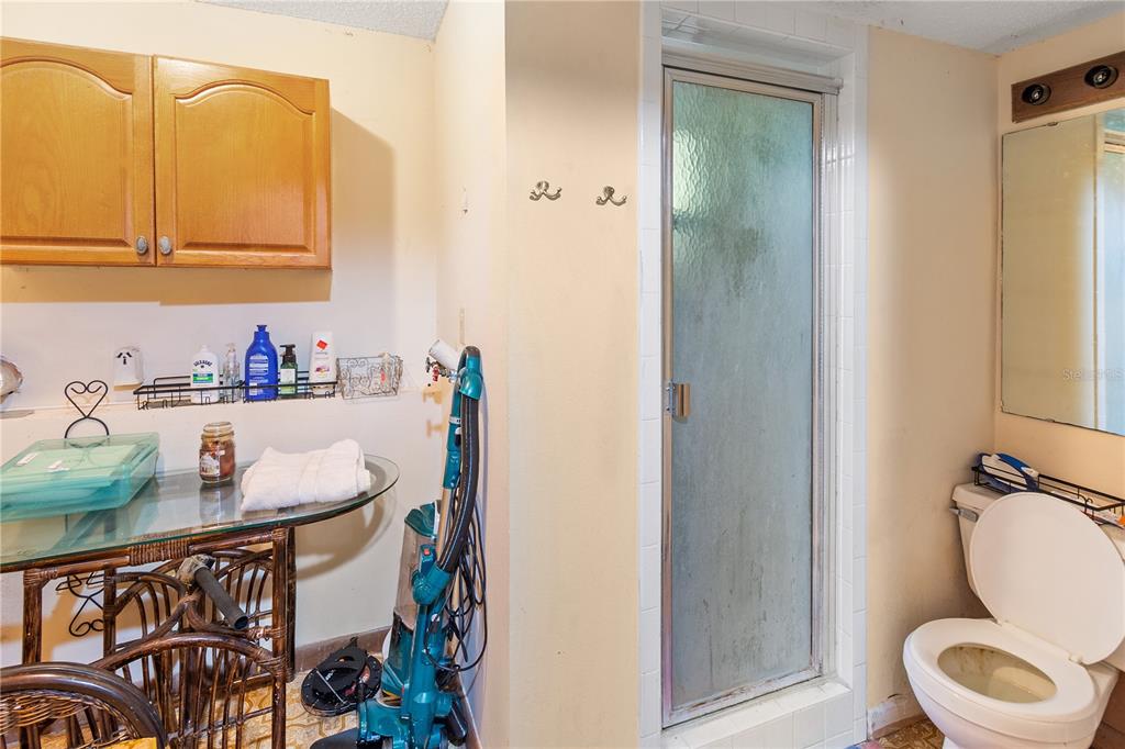 1360 Collany Lane Frostproof, FL 33843 - Photo 18 of 55 a bathroom with a sink toilet and mirror