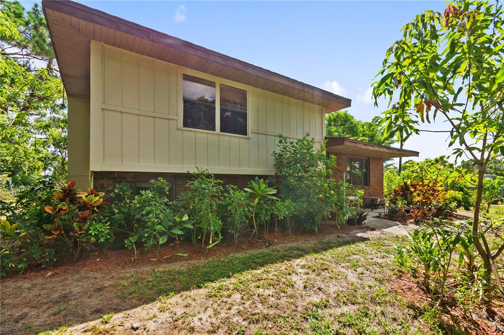 1360 Collany Lane Frostproof, FL 33843 - Photo 20 of 55 a backyard of a house