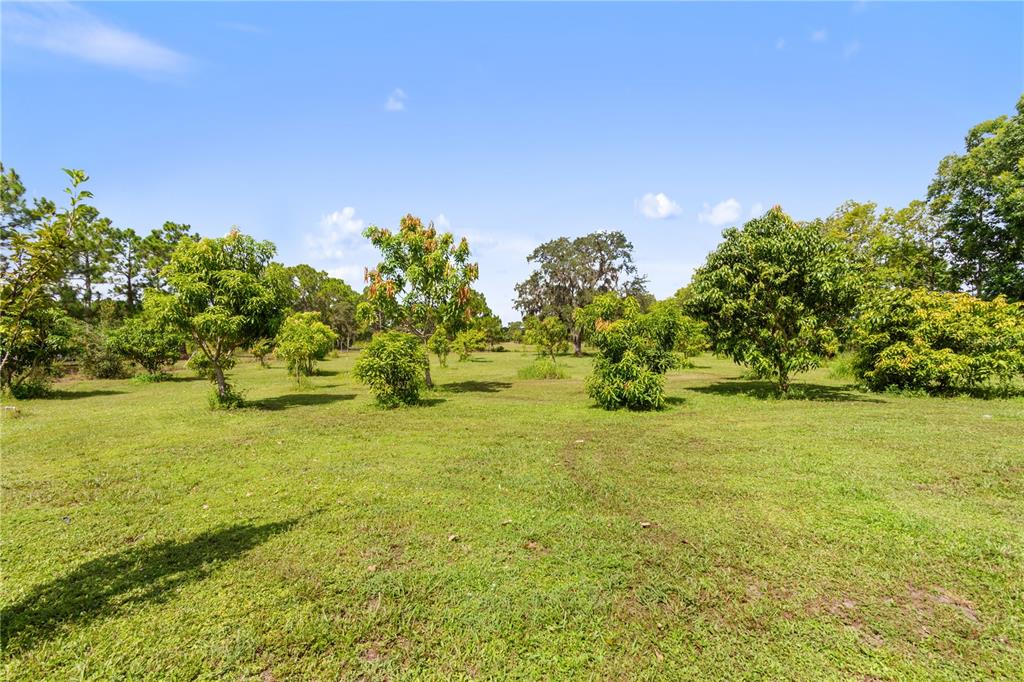 1360 Collany Lane Frostproof, FL 33843 - Photo 22 of 55 a view of an ocean