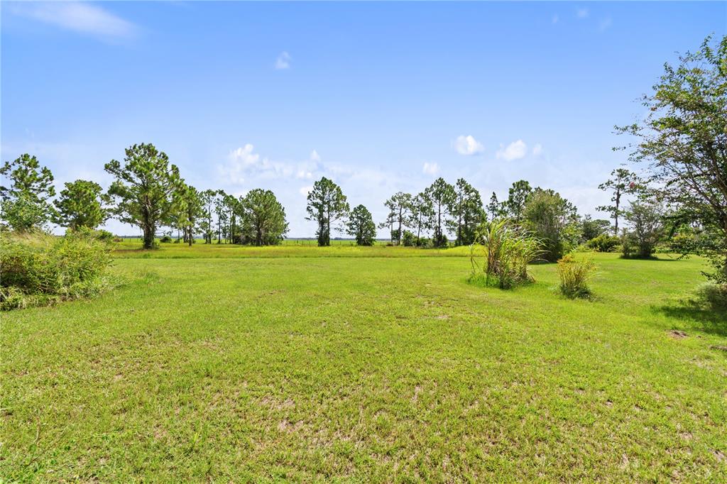 1360 Collany Lane Frostproof, FL 33843 - Photo 27 of 55 a view of a field with trees in the background