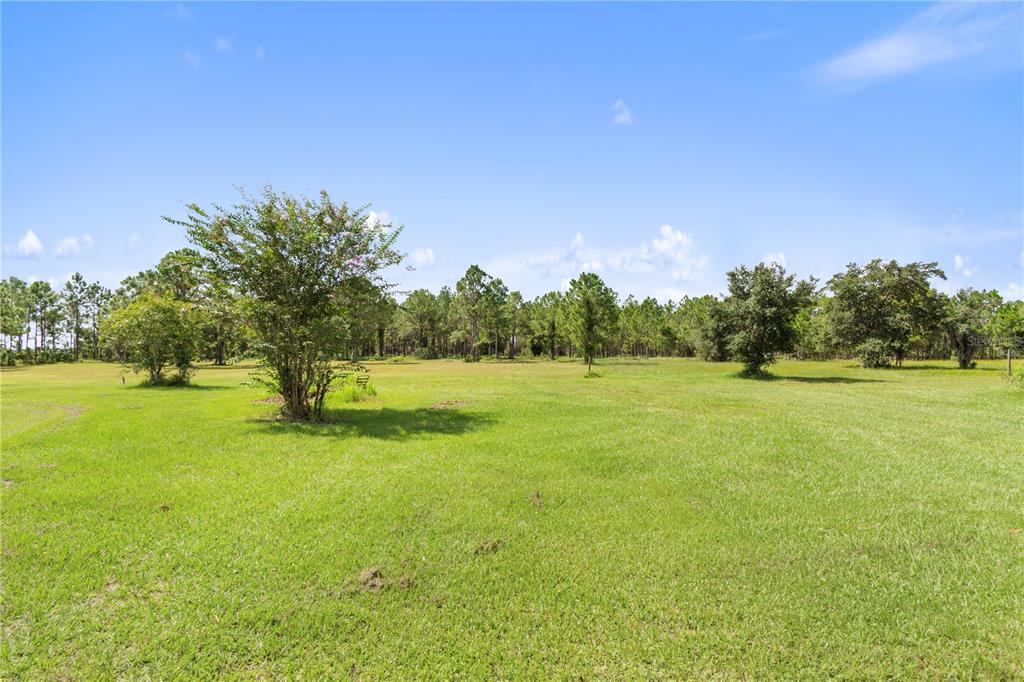 1360 Collany Lane Frostproof, FL 33843 - Photo 28 of 55 a view of yard with green space and trees