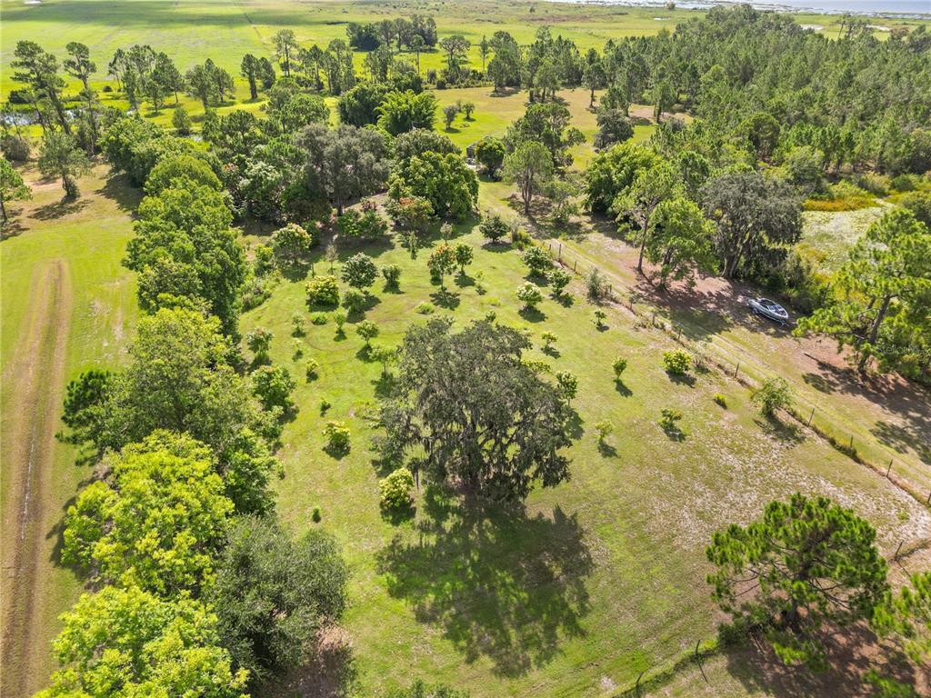 1360 Collany Lane Frostproof, FL 33843 - Photo 35 of 55 a view of a large yard with green space