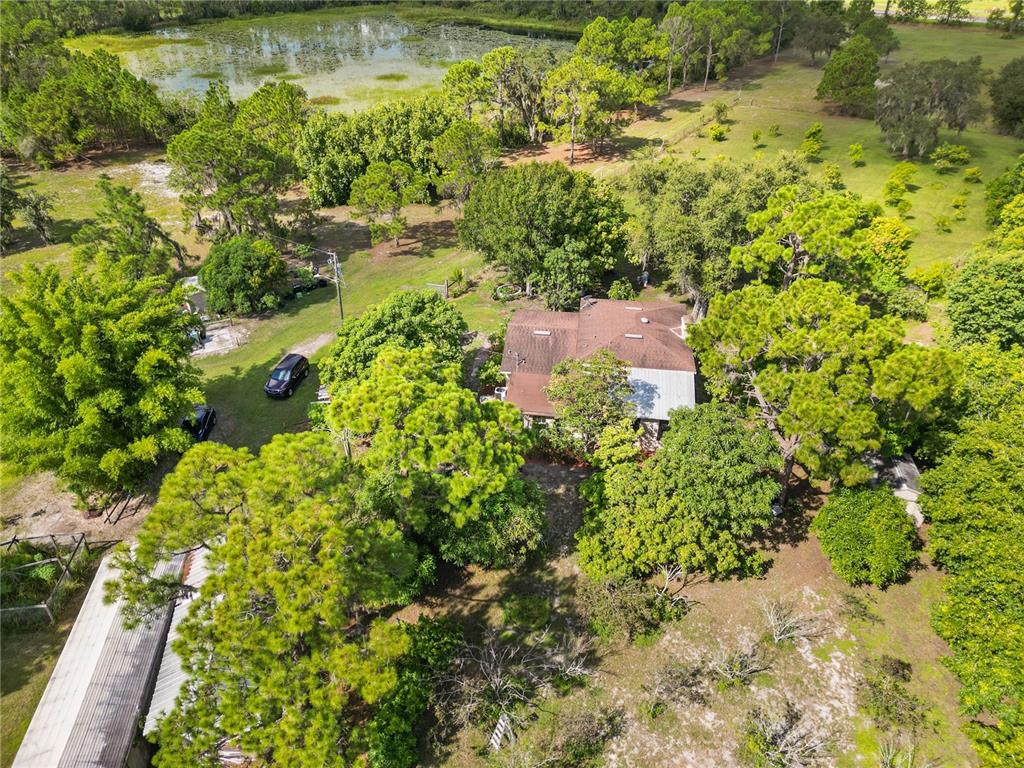 1360 Collany Lane Frostproof, FL 33843 - Photo 37 of 55 a view of a garden with a tree