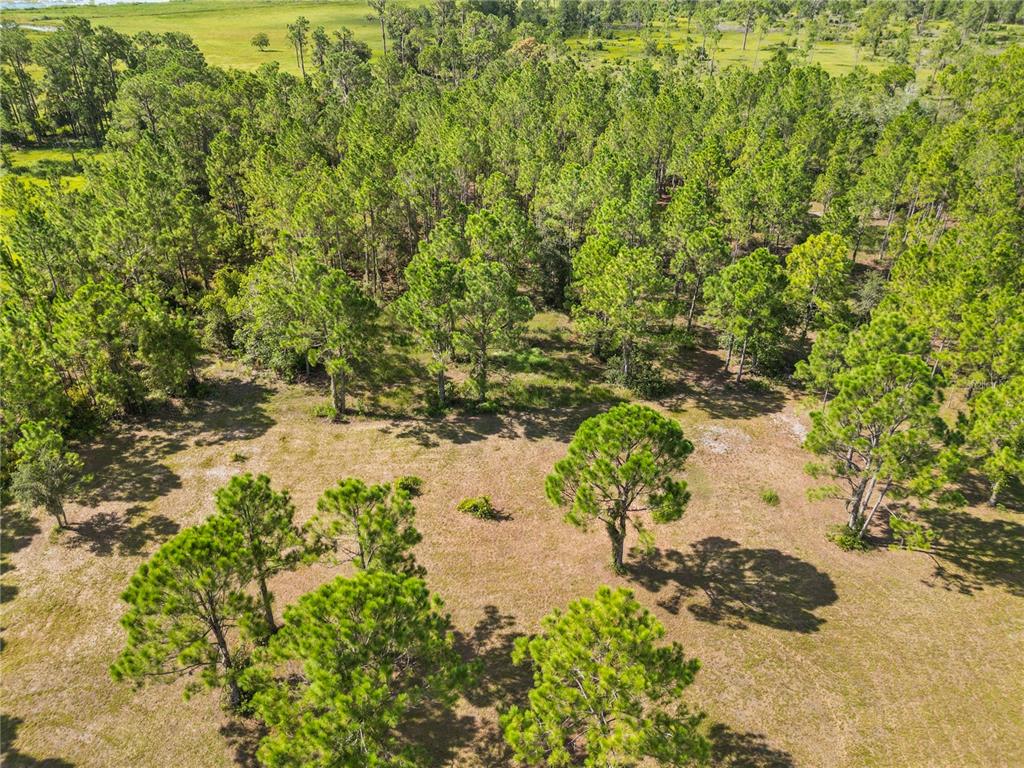 1360 Collany Lane Frostproof, FL 33843 - Photo 41 of 55 a view of a lake with a top of the house