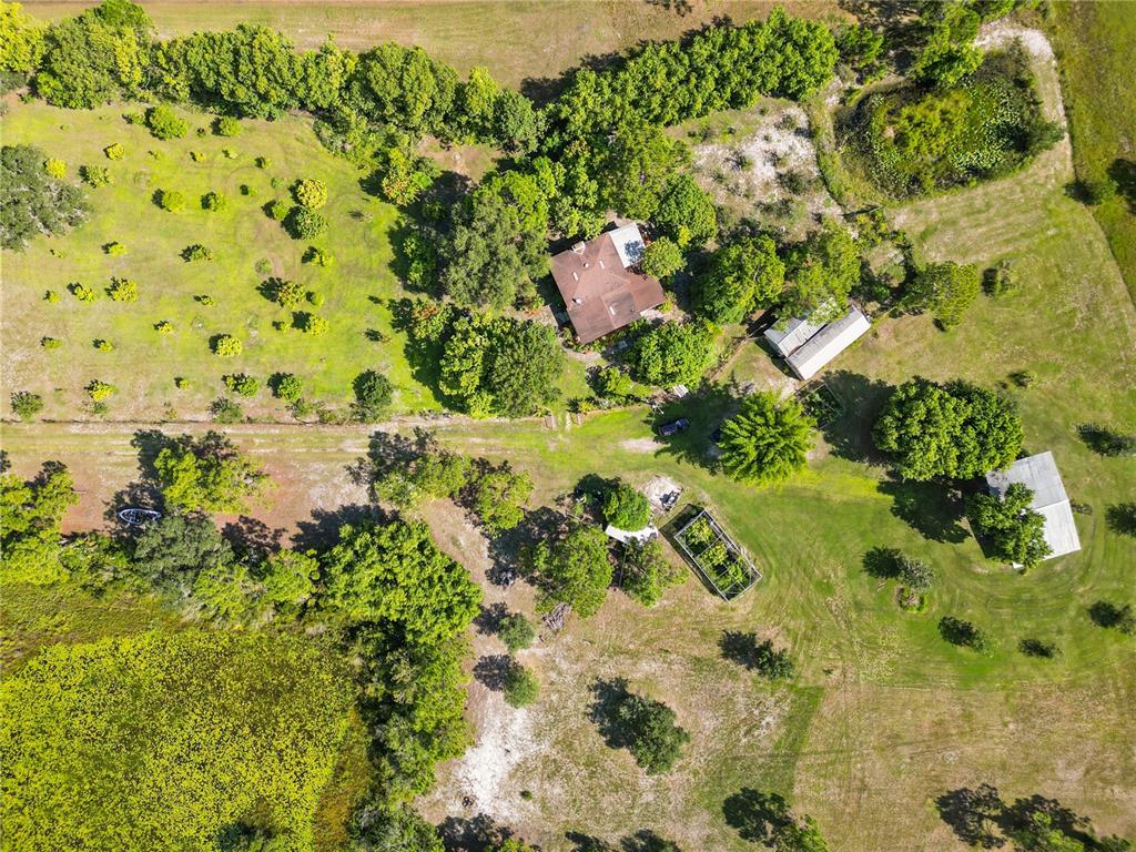 1360 Collany Lane Frostproof, FL 33843 - Photo 45 of 55 a view of a garden with plants