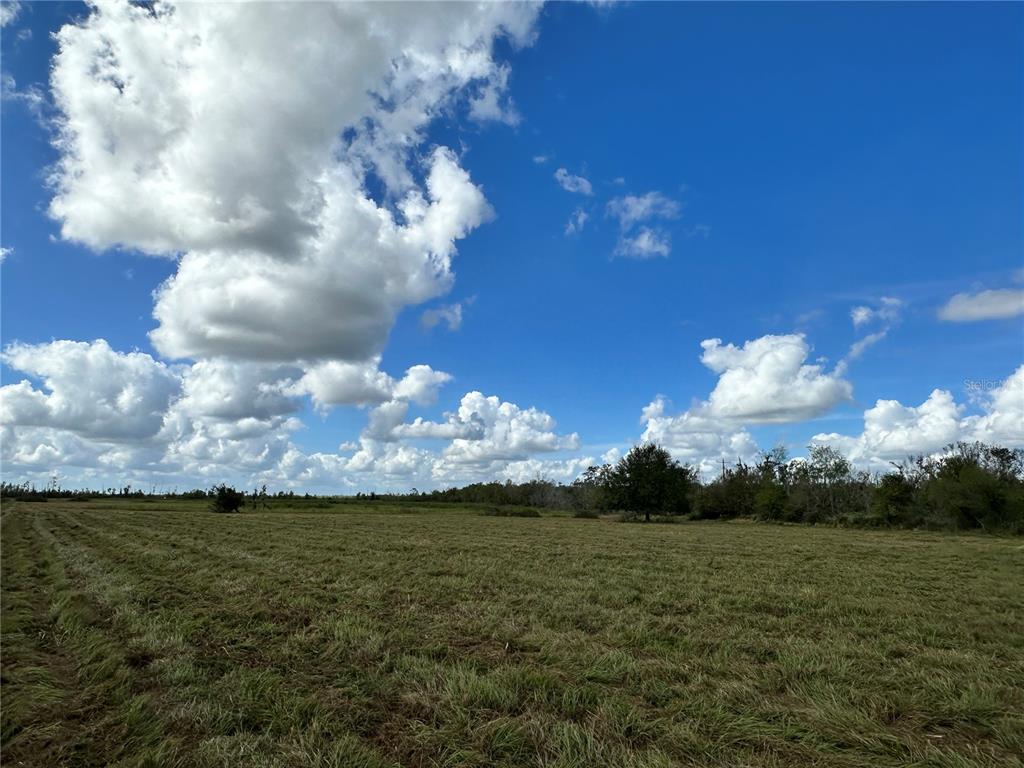 Wauchula Road Myakka City, FL 34251 - Photo 4 of 8 a view of a lake