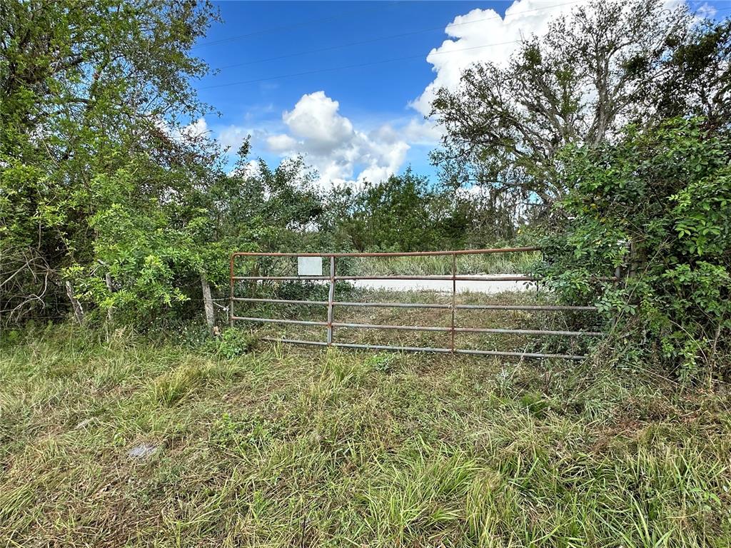 Wauchula Road Myakka City, FL 34251 - Photo 5 of 8 a view of a park