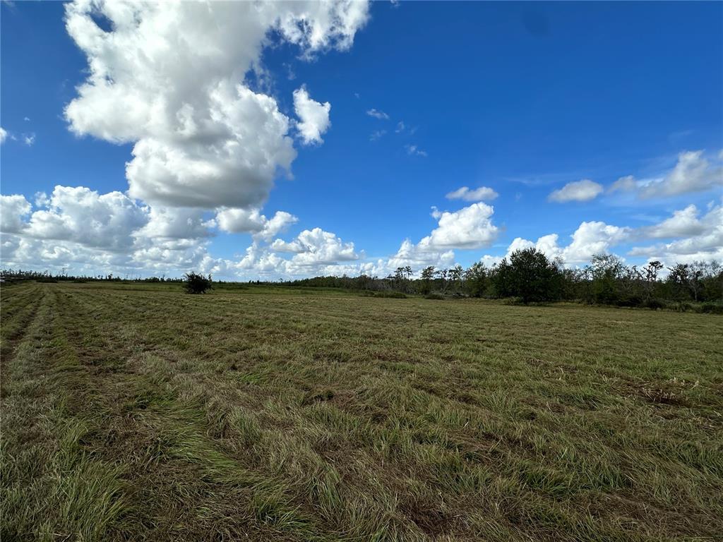 Wauchula Road Myakka City, FL 34251 - Photo 6 of 8 a view of a lake