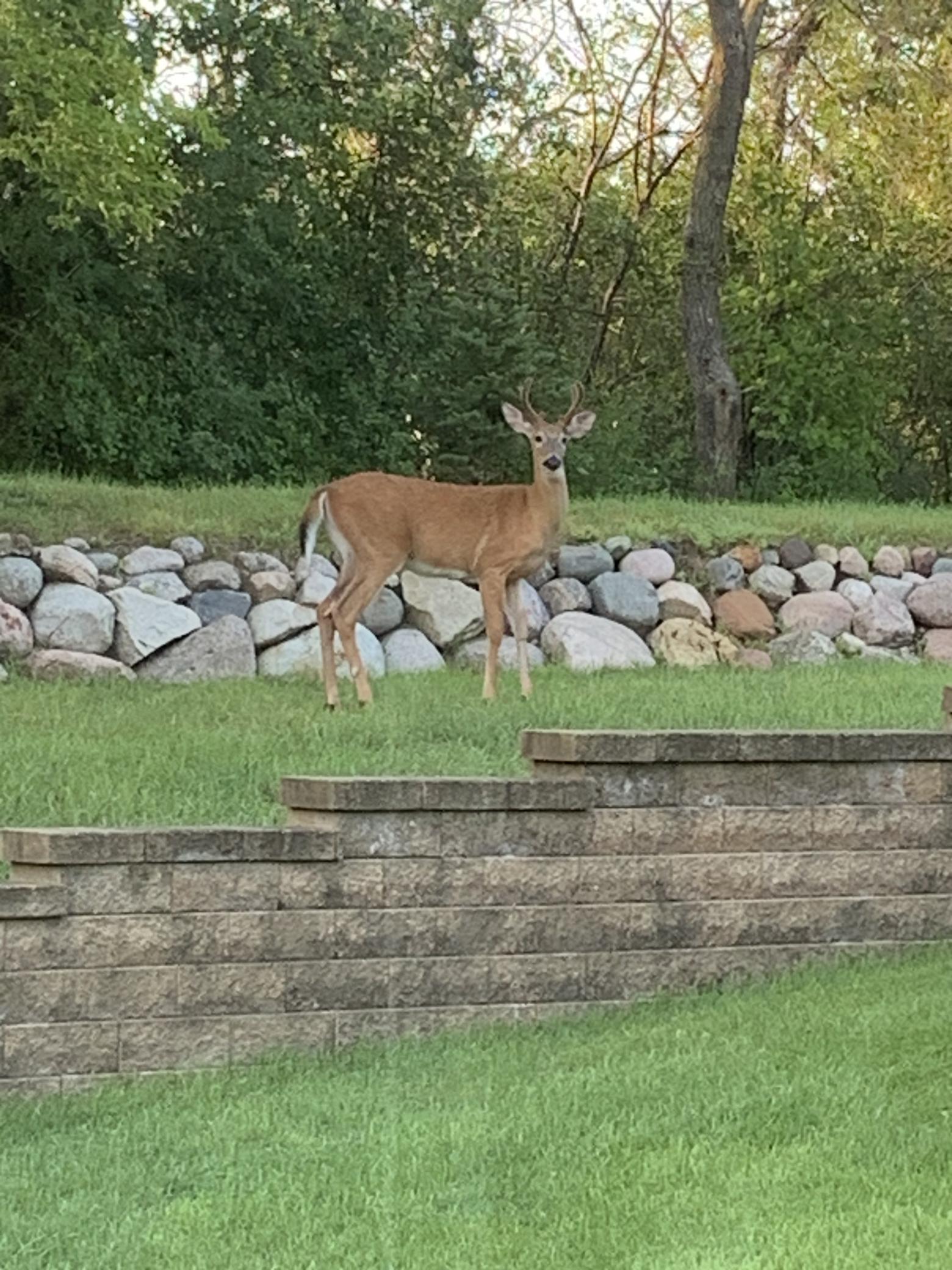 941 Rice Street Faribault, MN 55021 - Photo 44 of 57