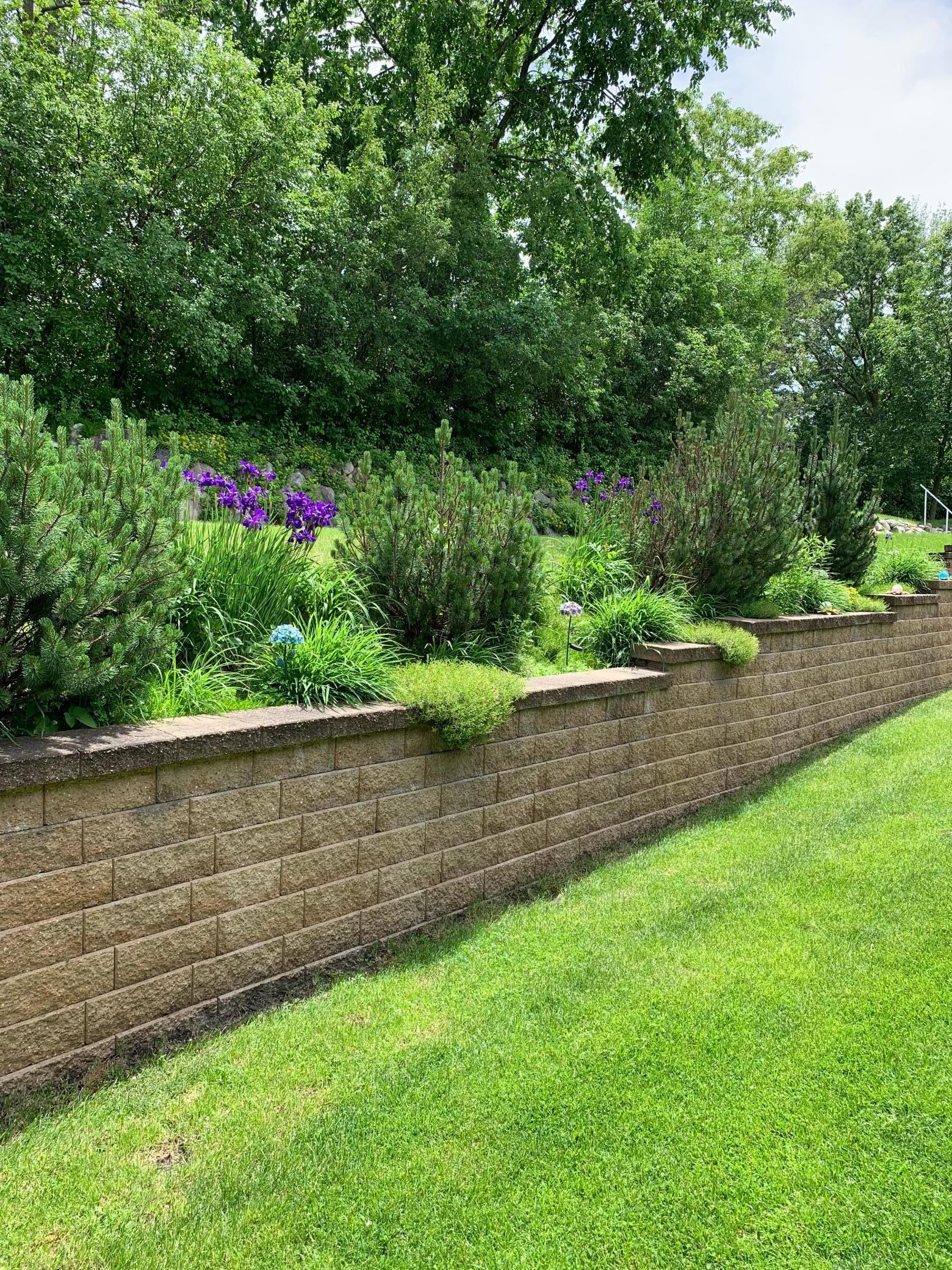 941 Rice Street Faribault, MN 55021 - Photo 53 of 57