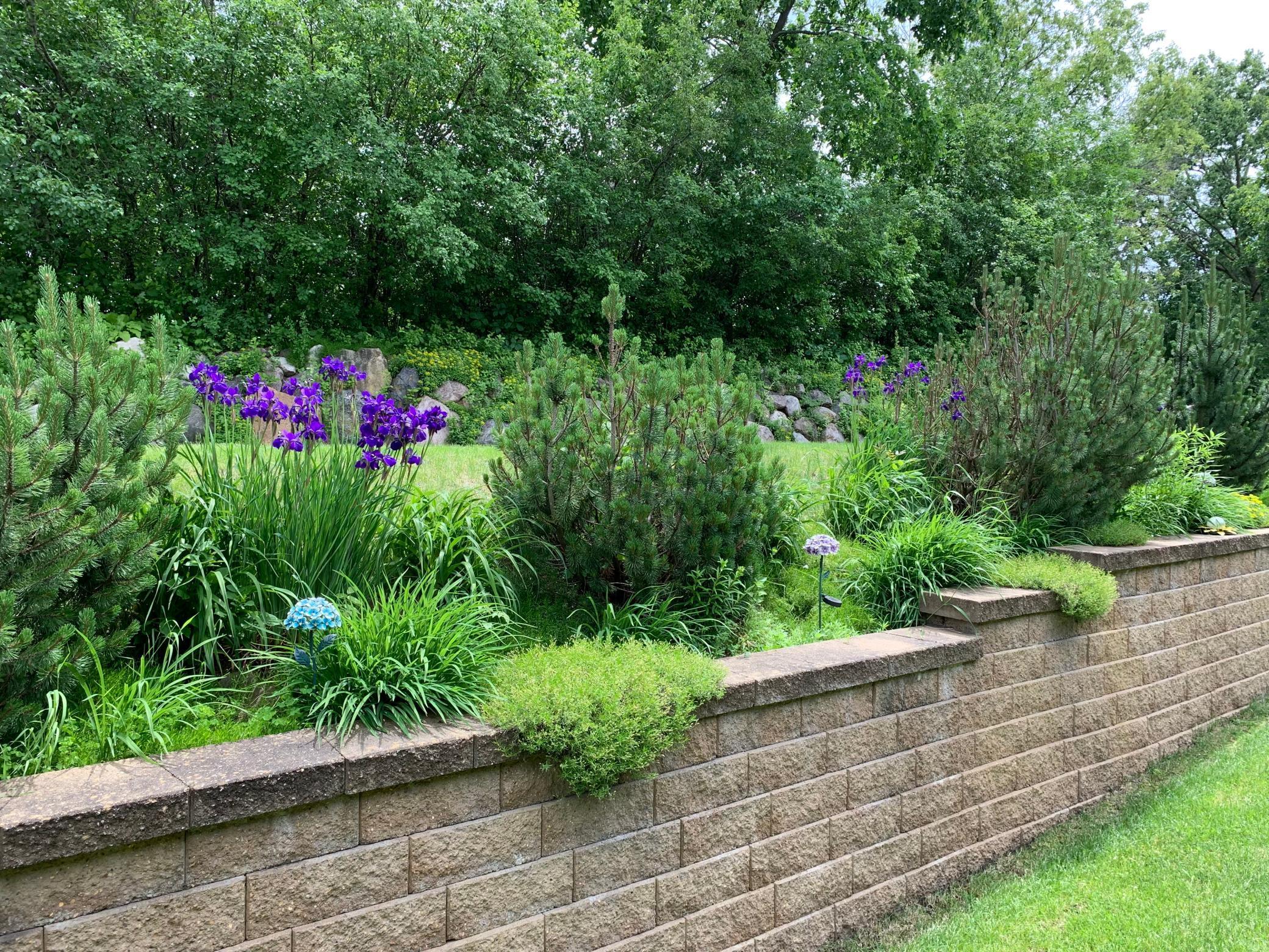 941 Rice Street Faribault, MN 55021 - Photo 54 of 57