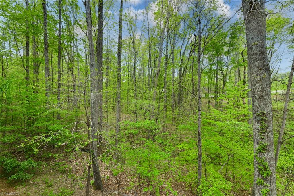 8202 Dennis Road Walnut Cove, NC 27052 - Photo 34 of 35 Enjoy The Solitude Of Nature
