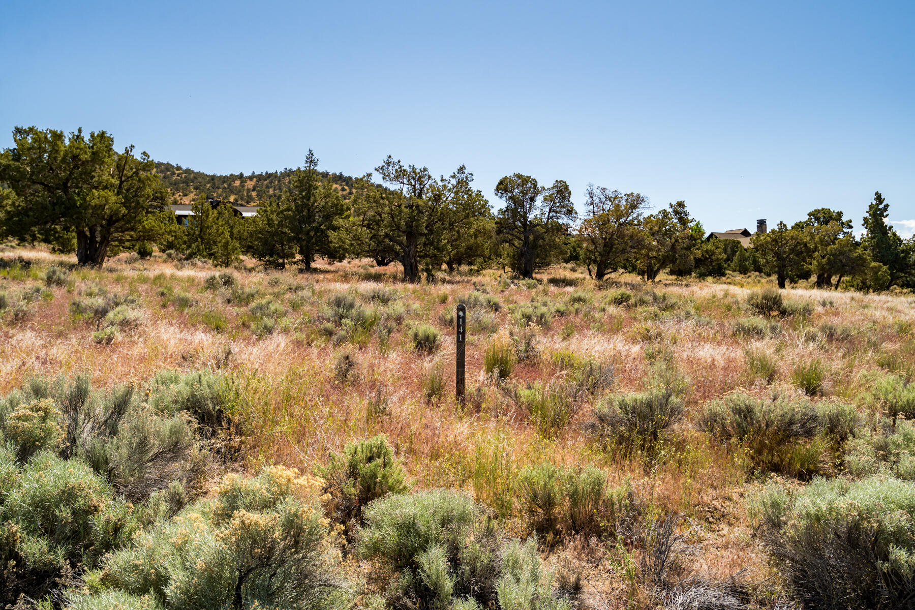 Lot 141 Southwest Brasada Ranch Road Powell Butte, OR 97753 - Photo 4 of 20 JH5_2126