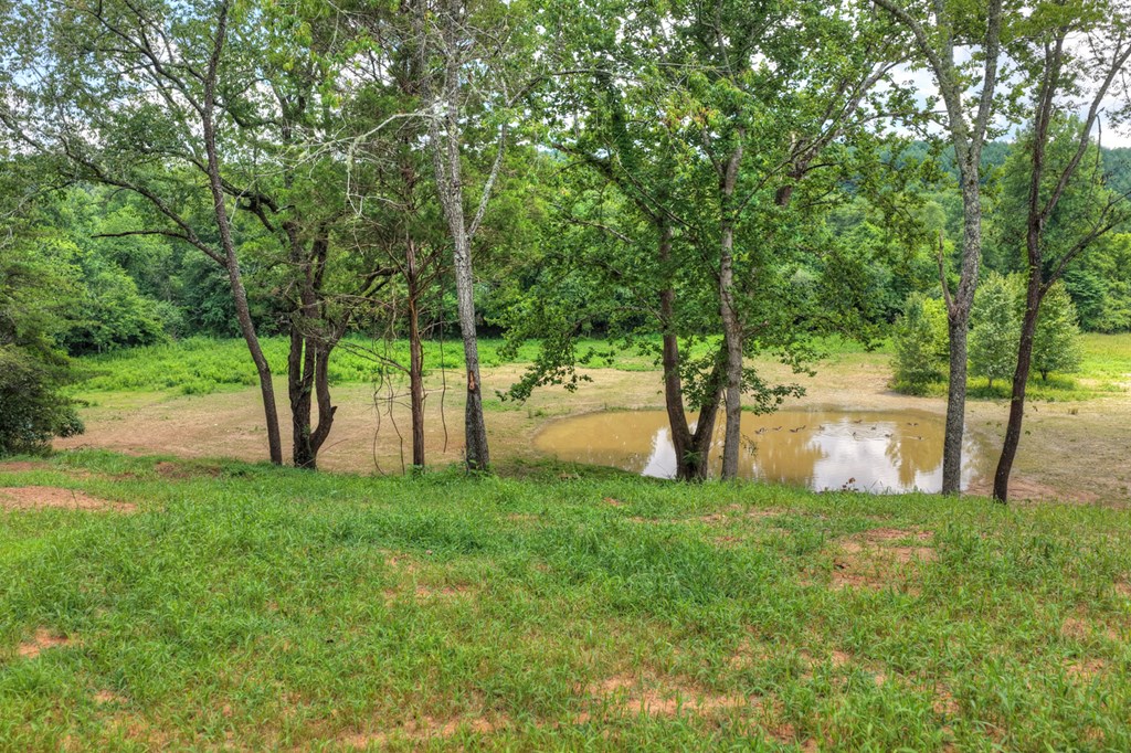 2125 Shady Grove Road Murphy, NC 28906 - Photo 52 of 61 Gallery Image 52
