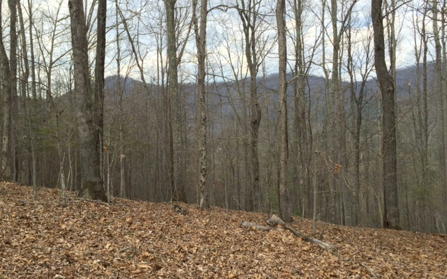 44 Ross Ridge Road Blairsville, GA 30512 - Photo 1 of 1 Main View