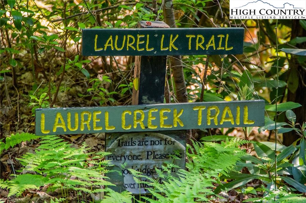 53-acres Deer Run Road Deep Gap, NC 28618 - Photo 2 of 18 Gallery Image 2